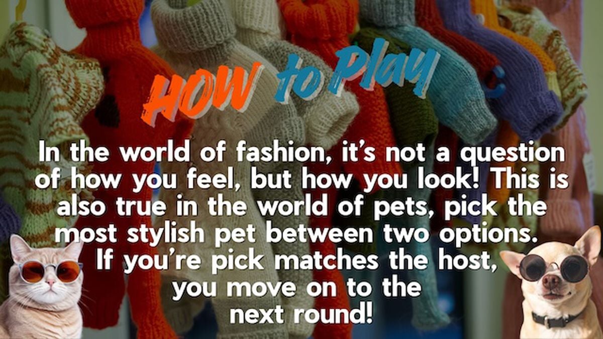 Stylish Pets image number null